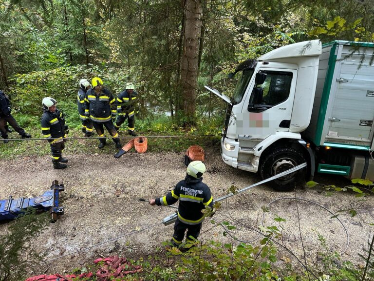 Fahrzeugsicherung über 3,5to